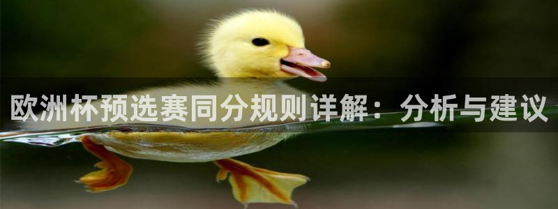 世界杯决赛预测：欧洲杯预选赛同分规则详解：分析与建议