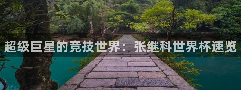 世界杯足球2026：超级巨星的竞技世界：张继科世界杯速览