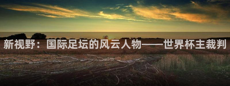 世界杯2026赛程：新视野：国际足坛的风云人物——世界杯主裁判