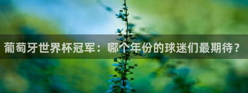 世界杯欧洲区赛程：葡萄牙世界杯冠军：哪个年份的球迷们最期待？