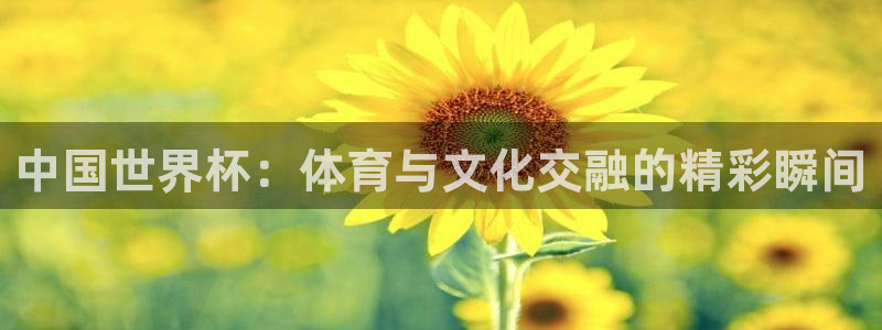 足球世预赛：中国世界杯：体育与文化交融的精彩瞬间