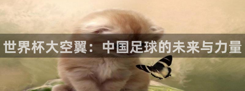 2026世界杯小组赛赛程时间表：世界杯大空翼：中国足球的未来与力量