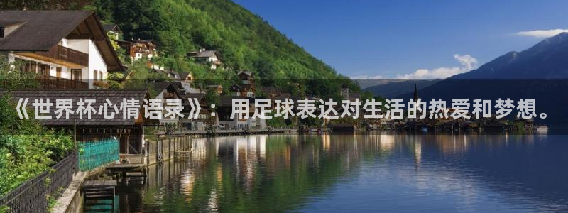 2026年世界杯赛程表时间：《世界杯心情语录》：用足球表达对生活的热爱和梦想。