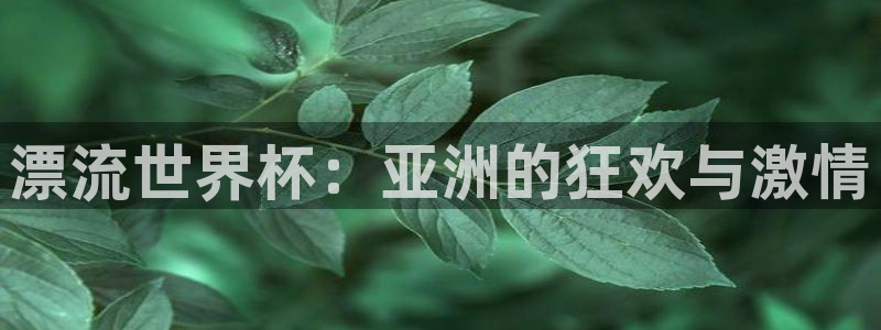 2026足球世界杯：漂流世界杯：亚洲的狂欢与激情