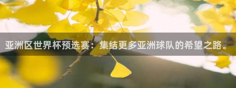 2006年世界杯冠军：亚洲区世界杯预选赛：集结更多亚洲球队的希望之路。