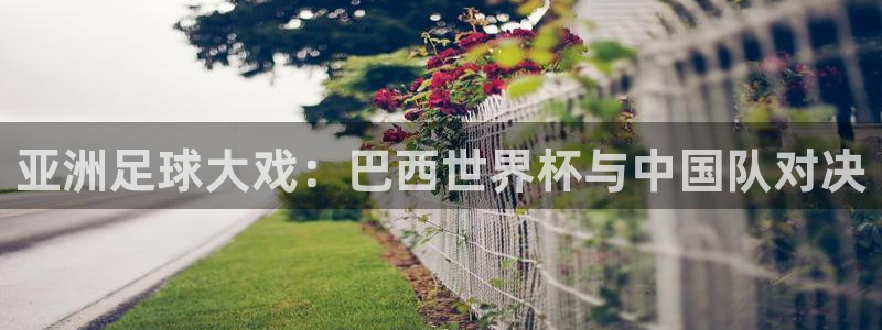 亚洲杯比赛直播：亚洲足球大戏：巴西世界杯与中国队对决