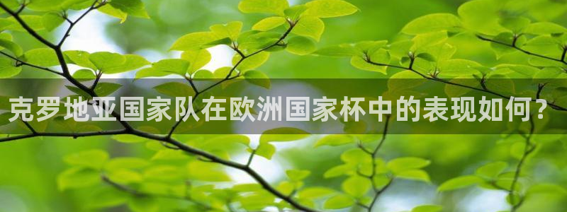世界杯球赛：克罗地亚国家队在欧洲国家杯中的表现如何？
