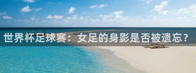 2006世界杯：世界杯足球赛：女足的身影是否被遗忘？