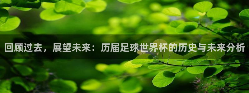 世界杯第一场比赛：回顾过去，展望未来：历届足球世界杯的历史与未来分析