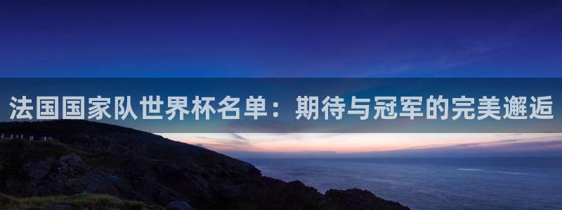 欧洲区世界杯预选赛：法国国家队世界杯名单：期待与冠军的完美邂逅