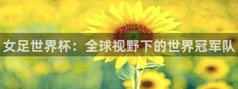 2026足球世界杯赛程：女足世界杯：全球视野下的世界冠军队