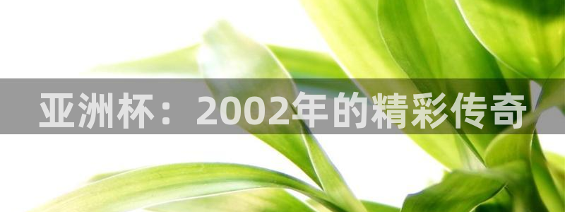 2026葡萄牙杯赛程表：亚洲杯：2002年的精彩传奇